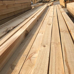 销售辐射松建筑木材、建筑木材、成天星木业
